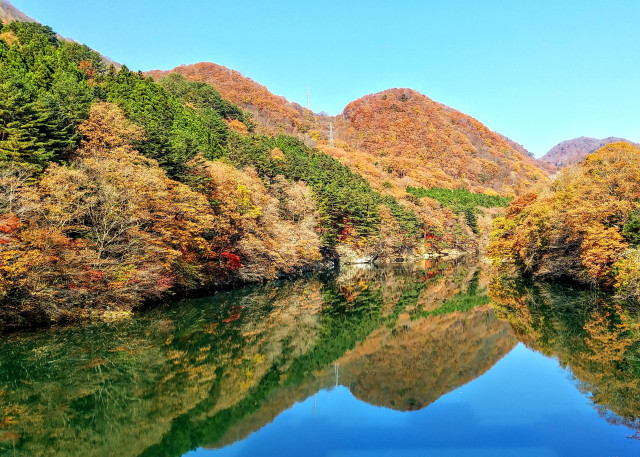 小網ダム